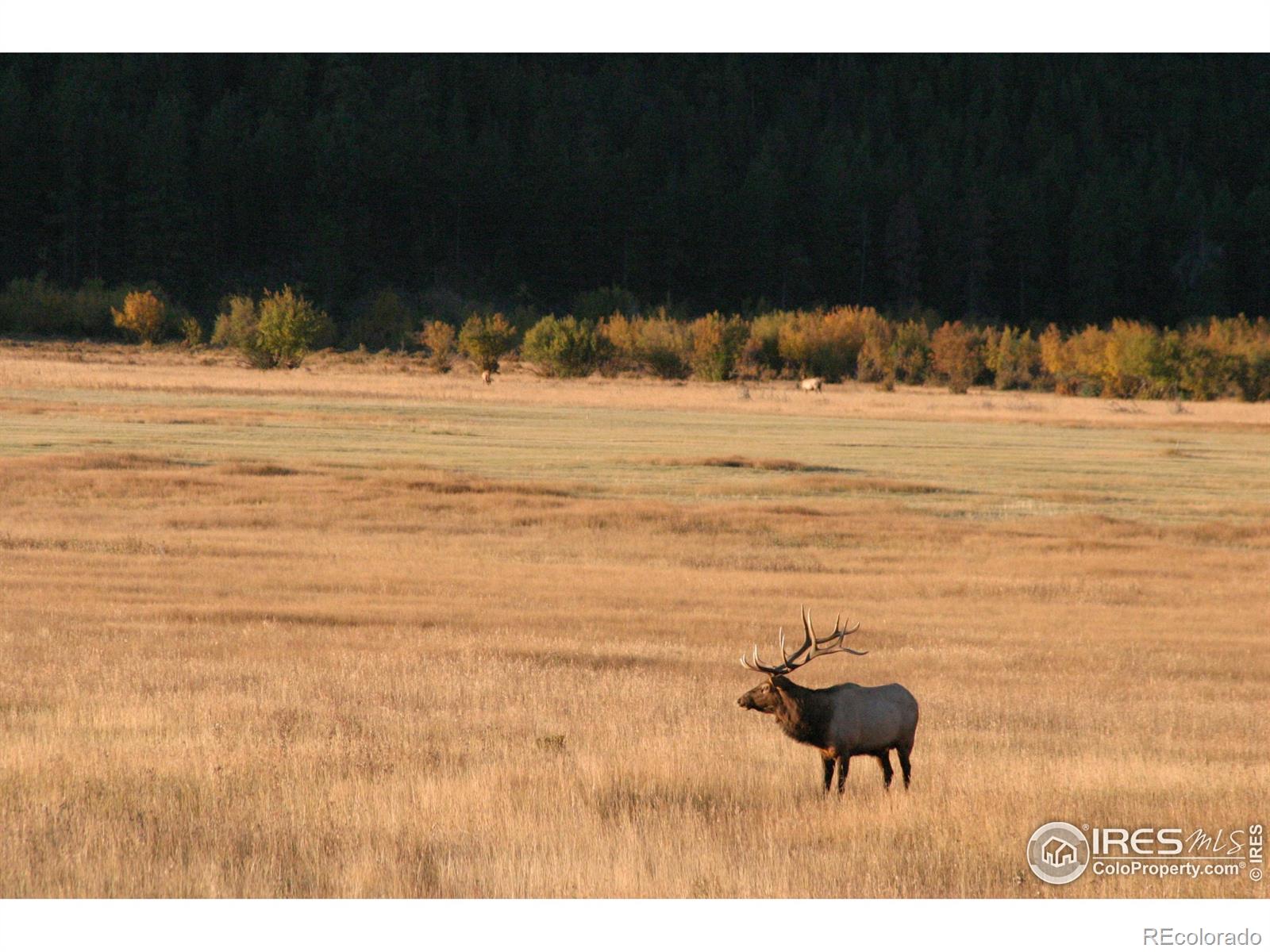 1565 Highway 66 Estes Park CO 80517