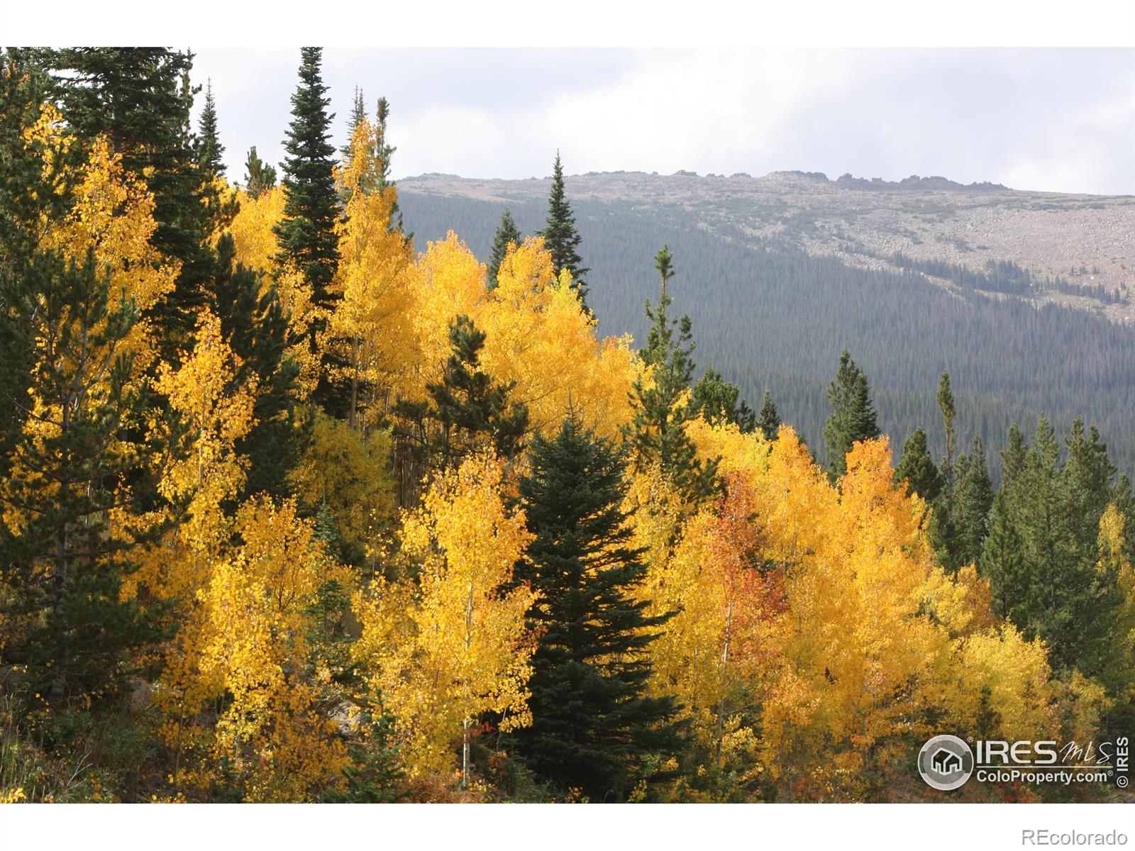 1565 Highway 66 Estes Park CO 80517