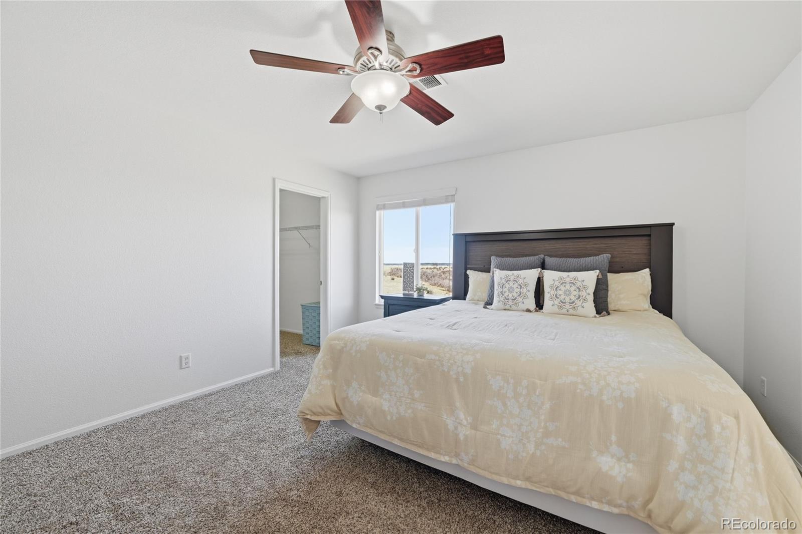 7852 Solstice Way Castle Rock CO 80108