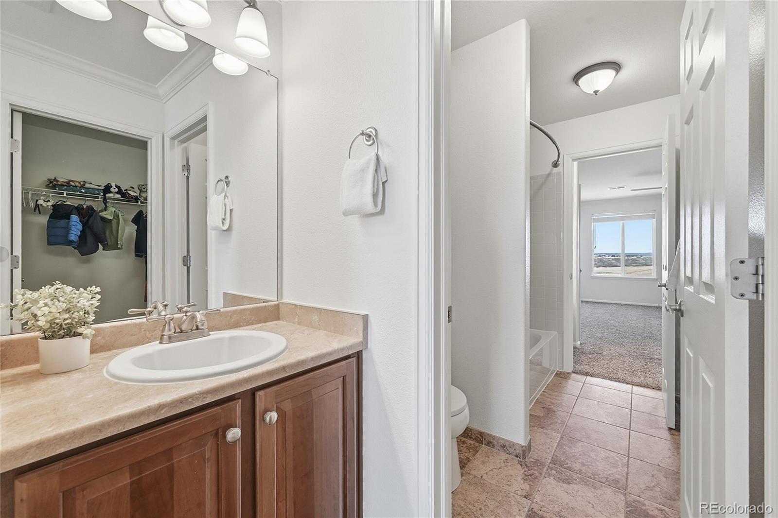 7852 Solstice Way Castle Rock CO 80108