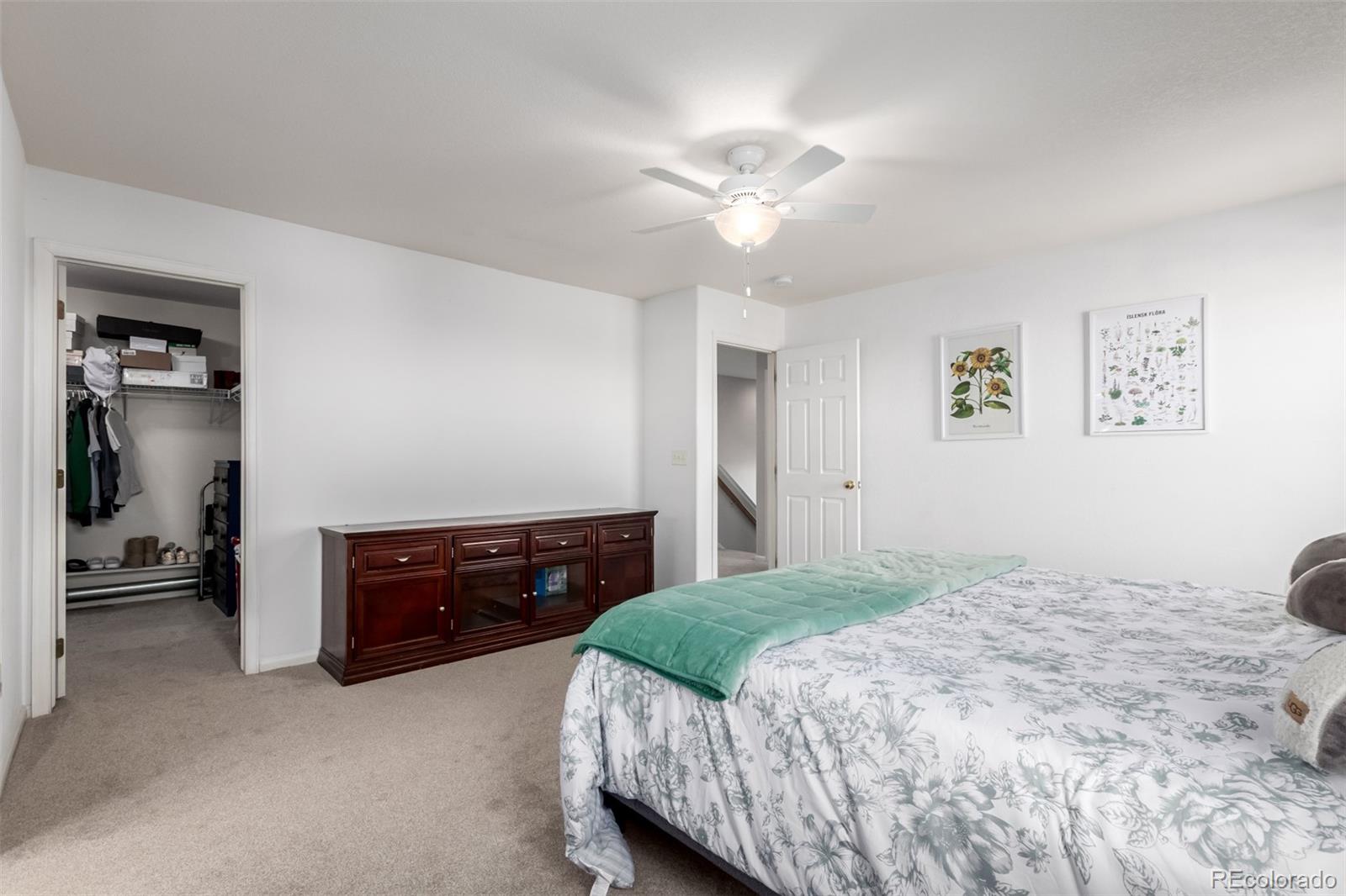 6193 Brantly Avenue Castle Rock CO 80104