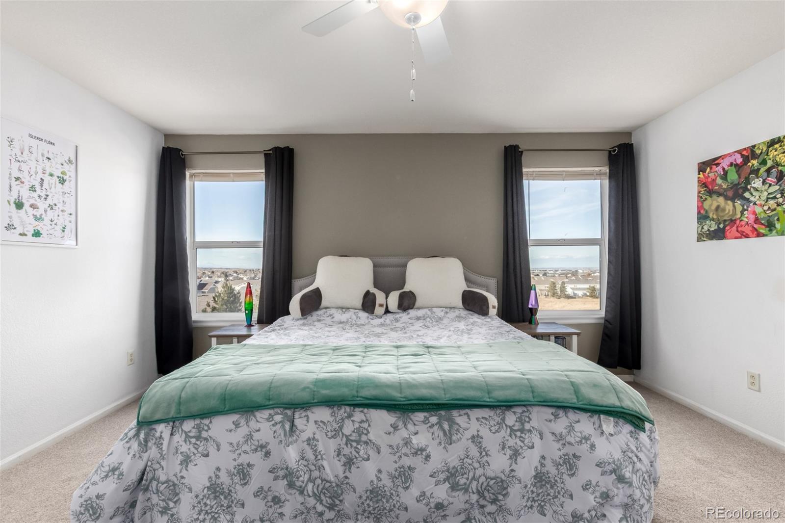 6193 Brantly Avenue Castle Rock CO 80104