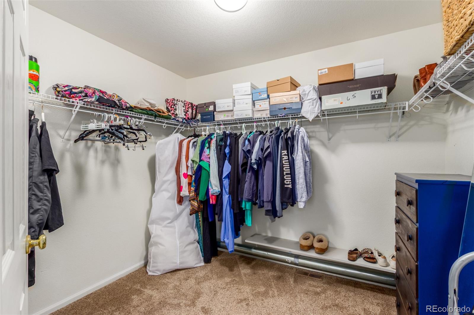 6193 Brantly Avenue Castle Rock CO 80104