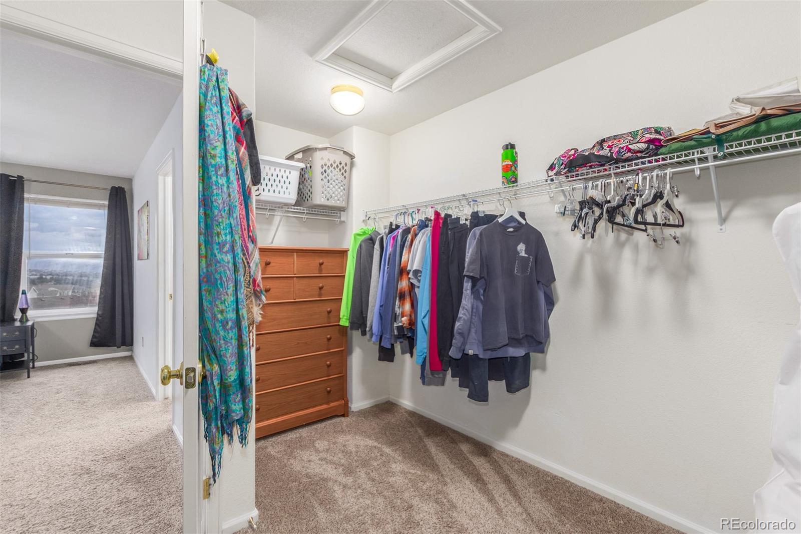 6193 Brantly Avenue Castle Rock CO 80104