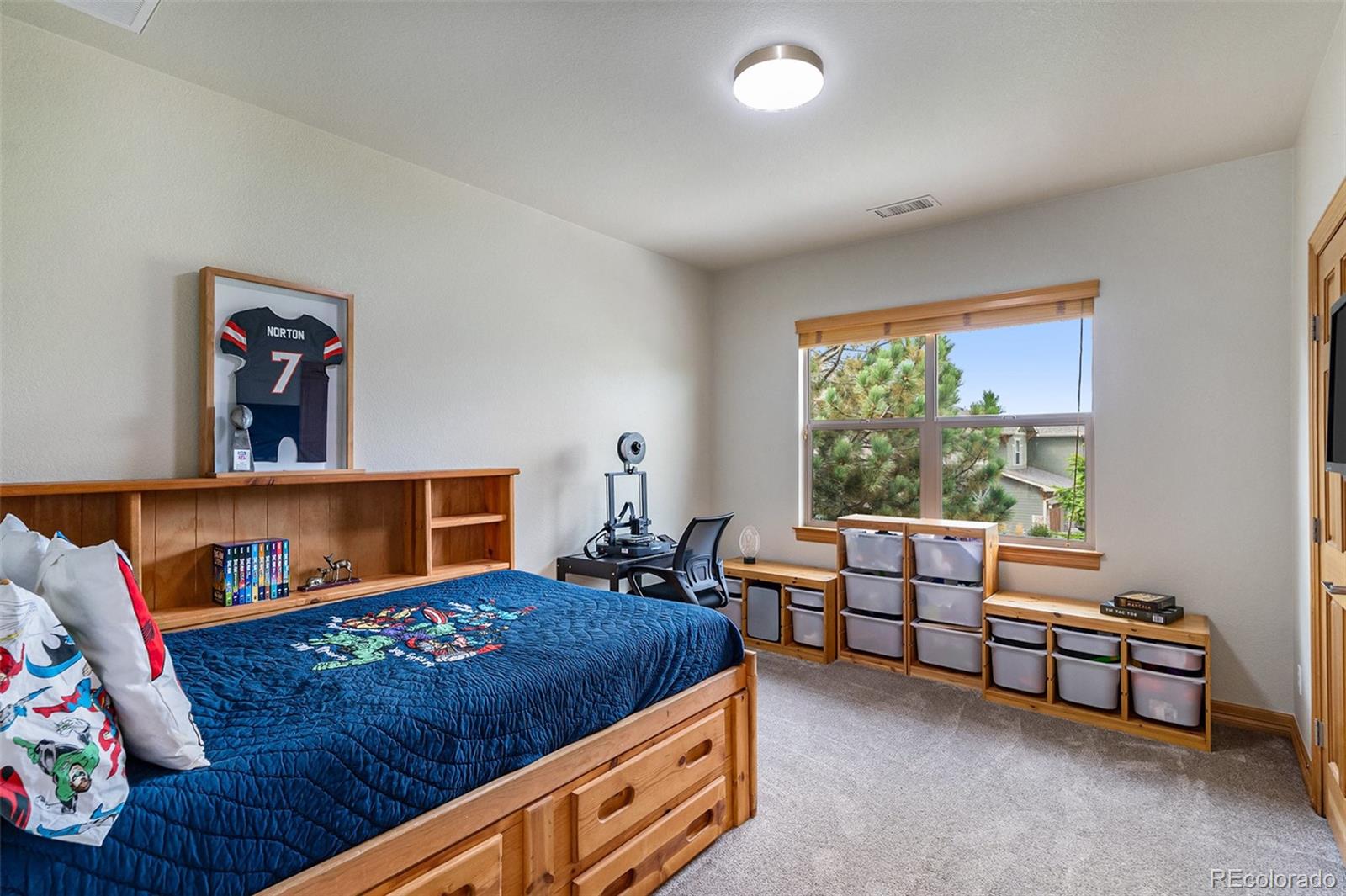 12161 S Leaning Pine Court Parker CO 80134