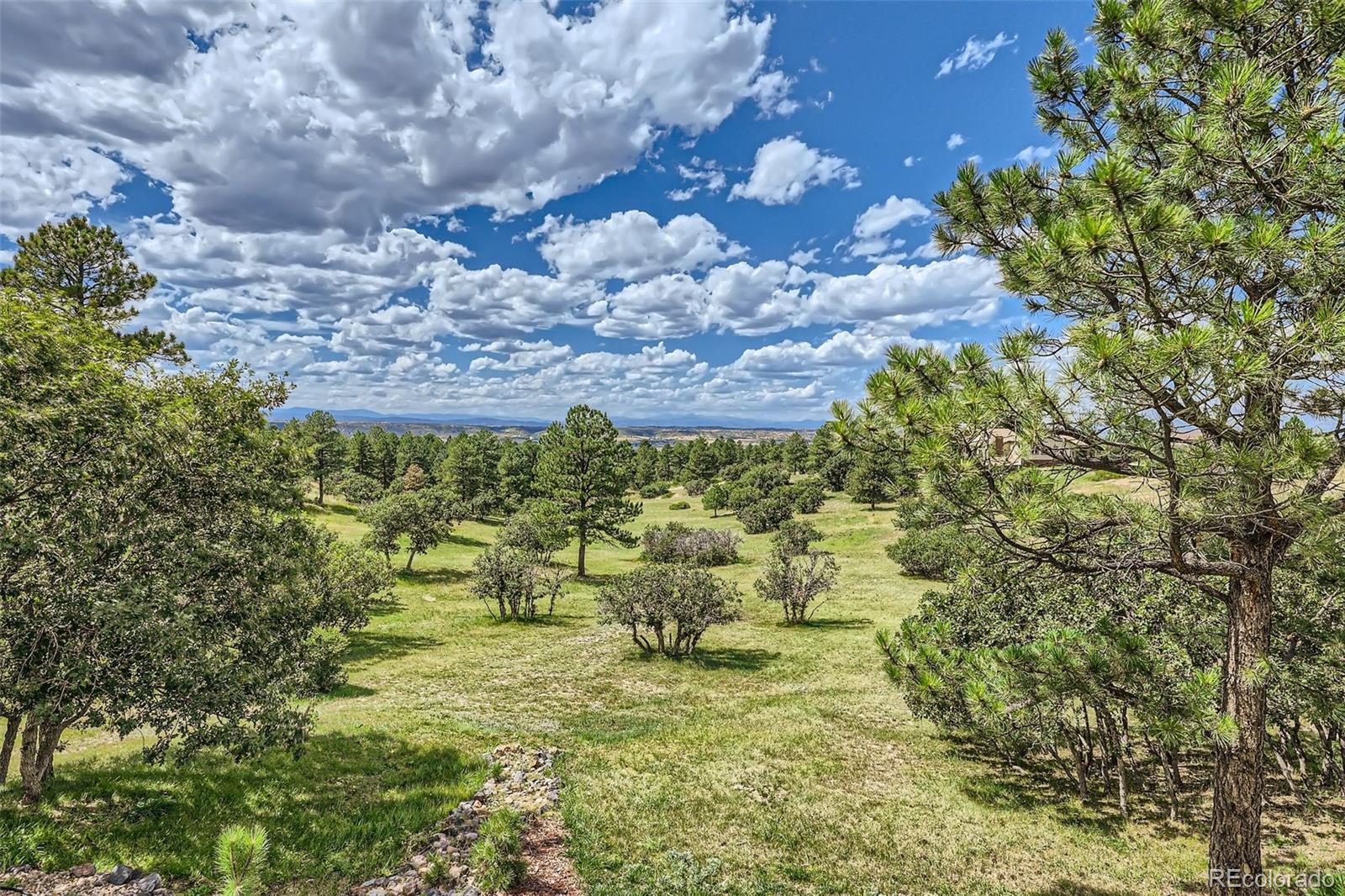 8377 Burning Tree Drive Franktown CO 80116