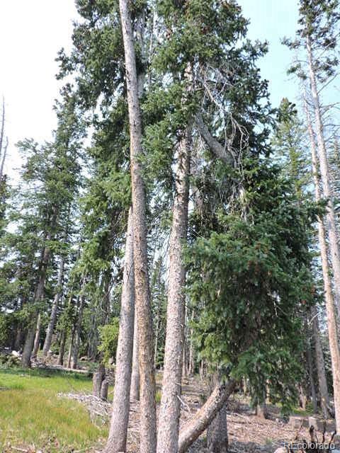 6548 Giesse Road San Luis CO 81152