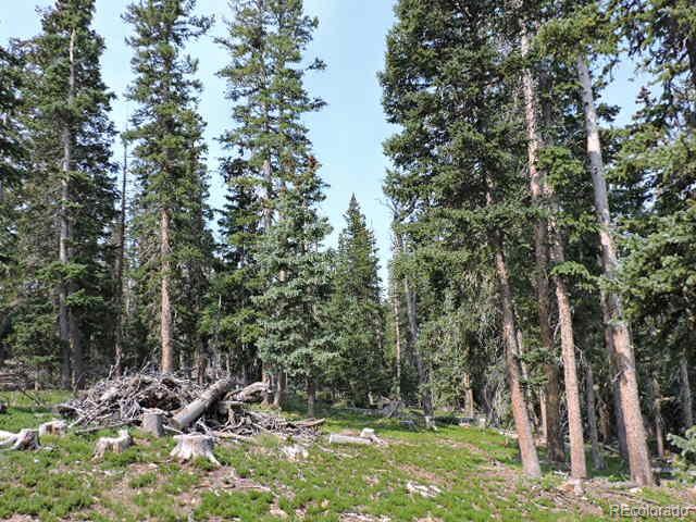 6548 Giesse Road San Luis CO 81152