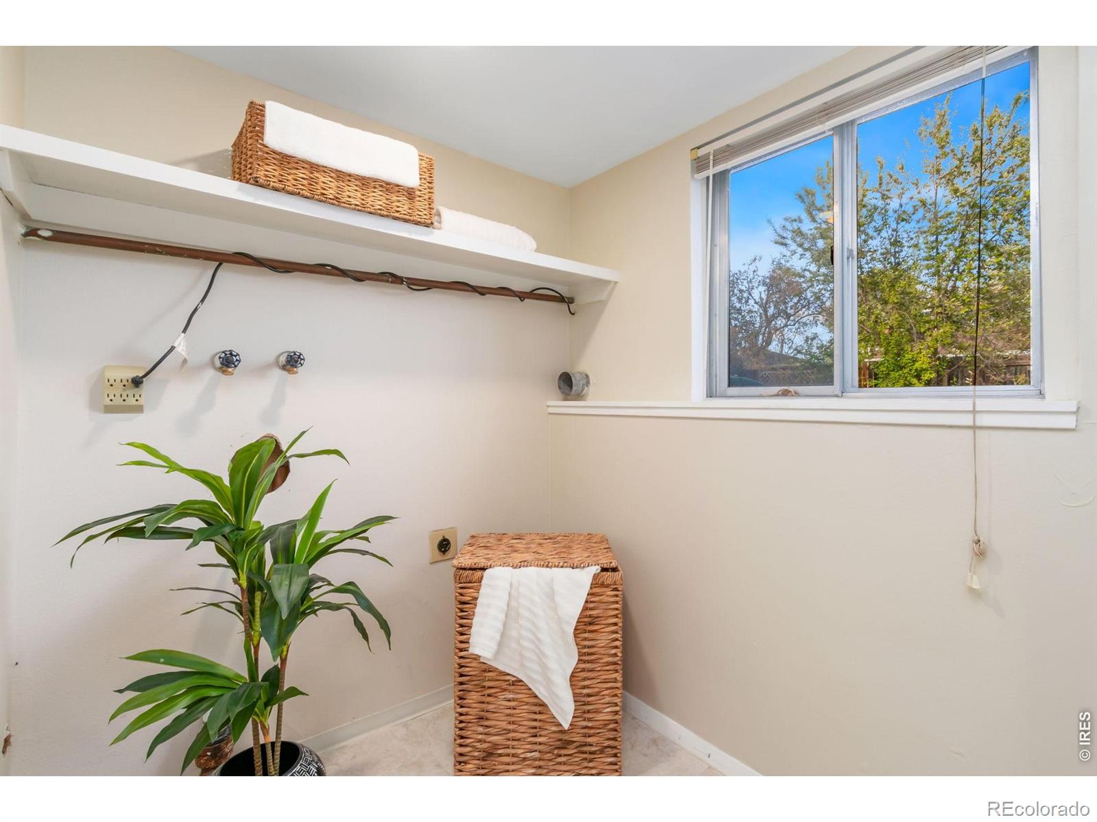 3006 Alamo Avenue Fort Collins CO 80525