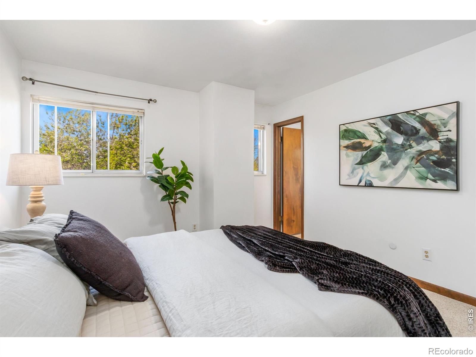 3006 Alamo Avenue Fort Collins CO 80525