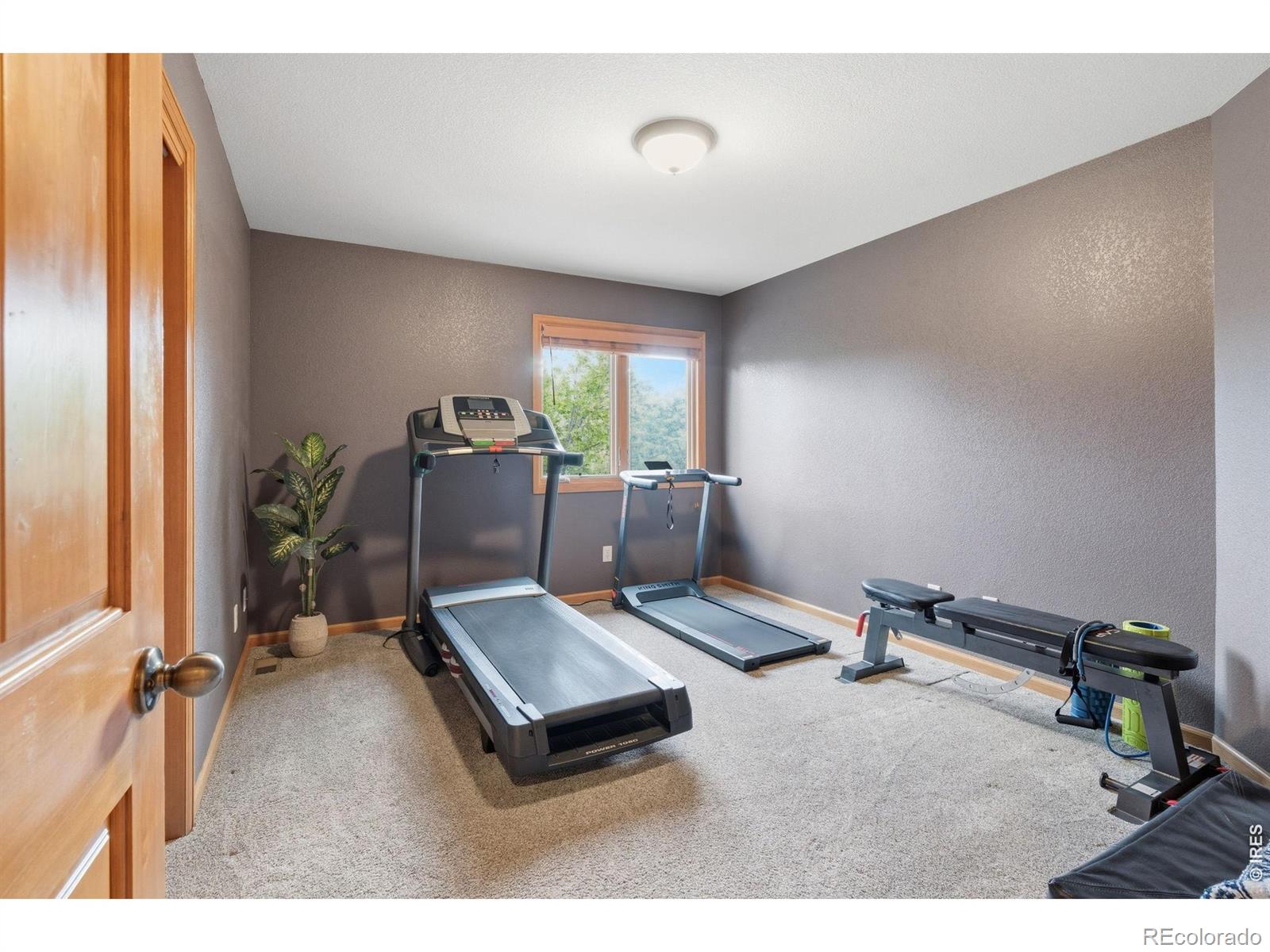 3327 Long Creek Drive Fort Collins CO 80528