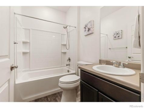 885 Camberly Drive Windsor CO 80550
