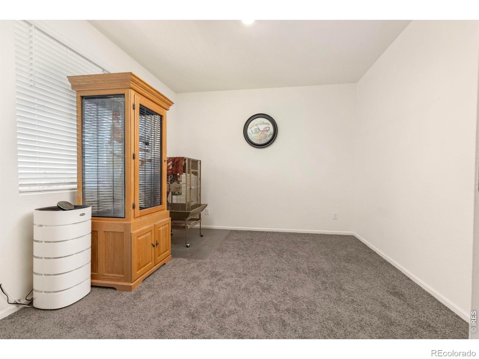 885 Camberly Drive Windsor CO 80550