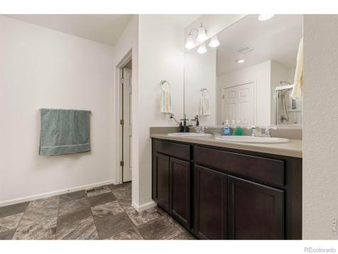 885 Camberly Drive Windsor CO 80550