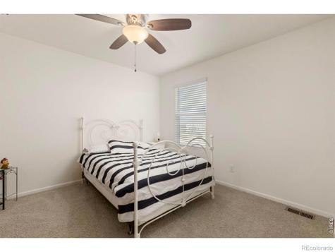 885 Camberly Drive Windsor CO 80550
