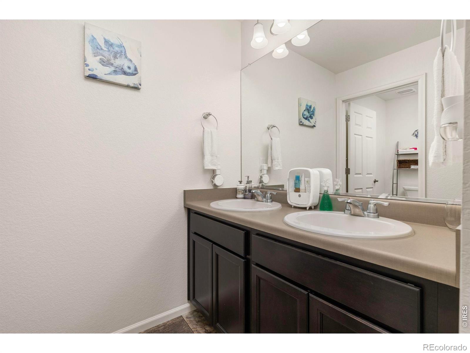 885 Camberly Drive Windsor CO 80550