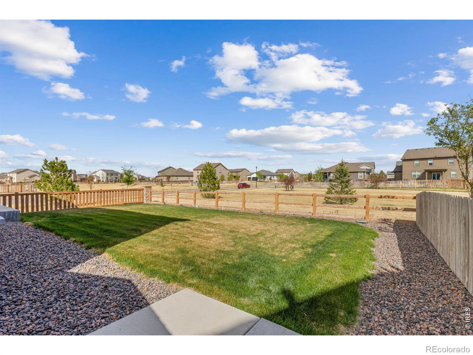 885 Camberly Drive Windsor CO 80550