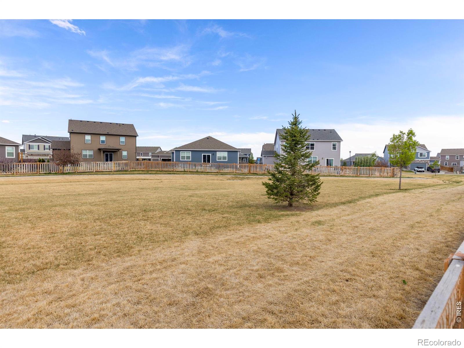 885 Camberly Drive Windsor CO 80550