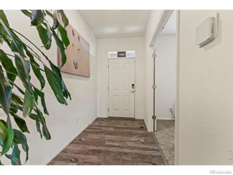 885 Camberly Drive Windsor CO 80550
