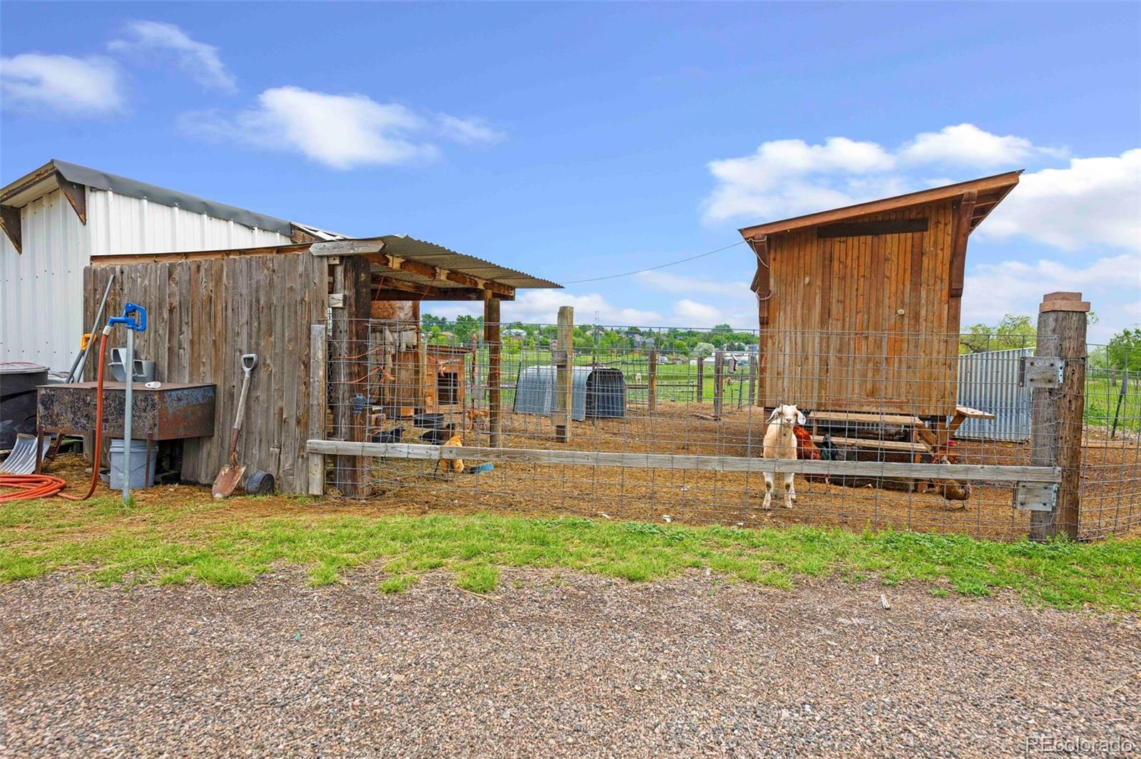 7587 Wright Court Arvada CO 80005