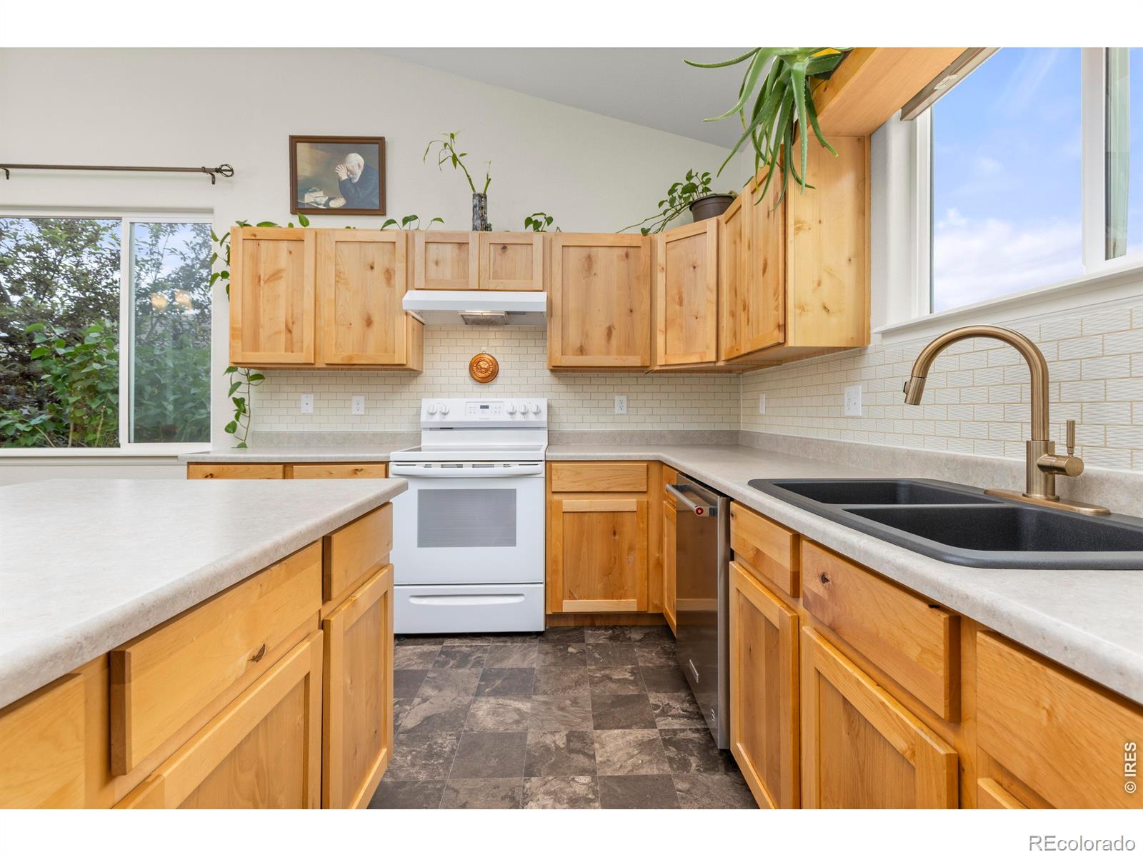 1549 Water Vista Lane Windsor CO 80550