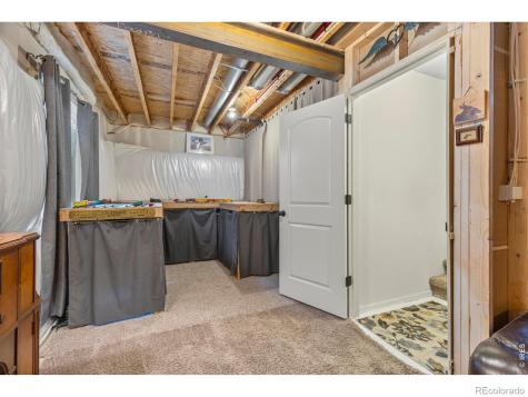 1549 Water Vista Lane Windsor CO 80550