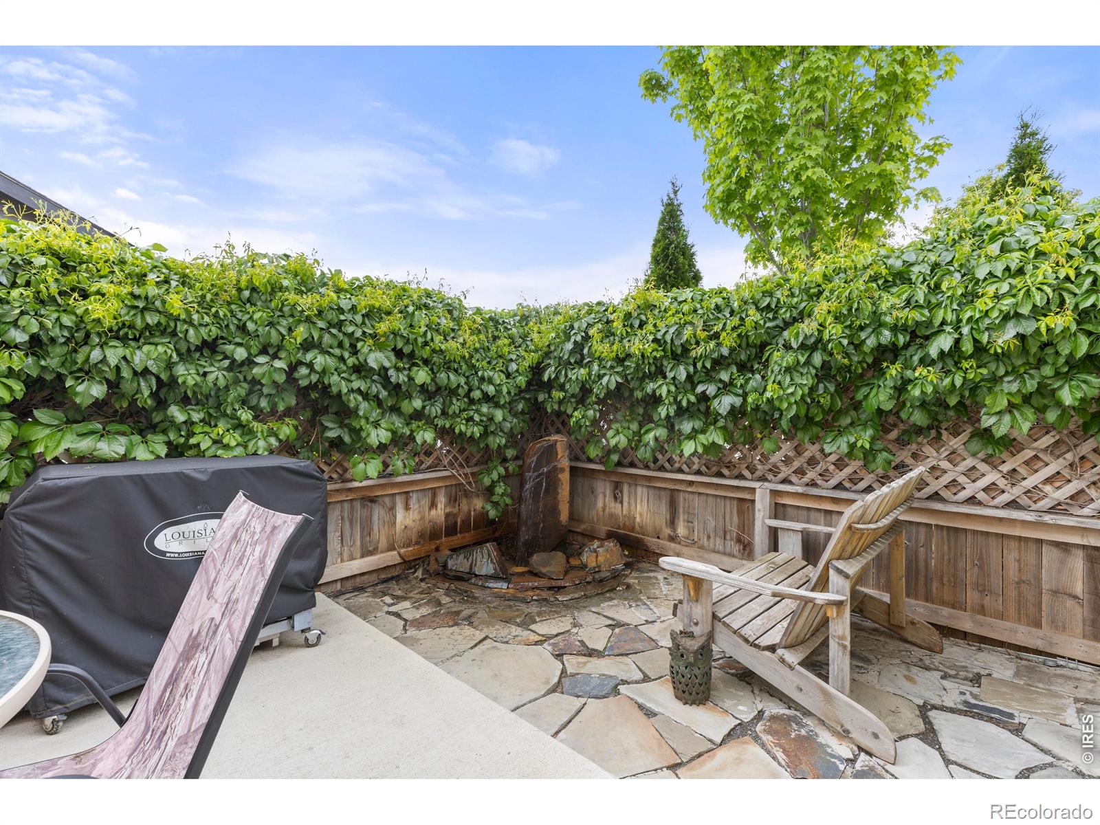 1549 Water Vista Lane Windsor CO 80550