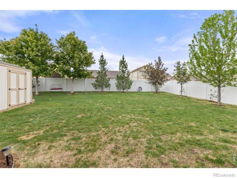 1549 Water Vista Lane Windsor CO 80550