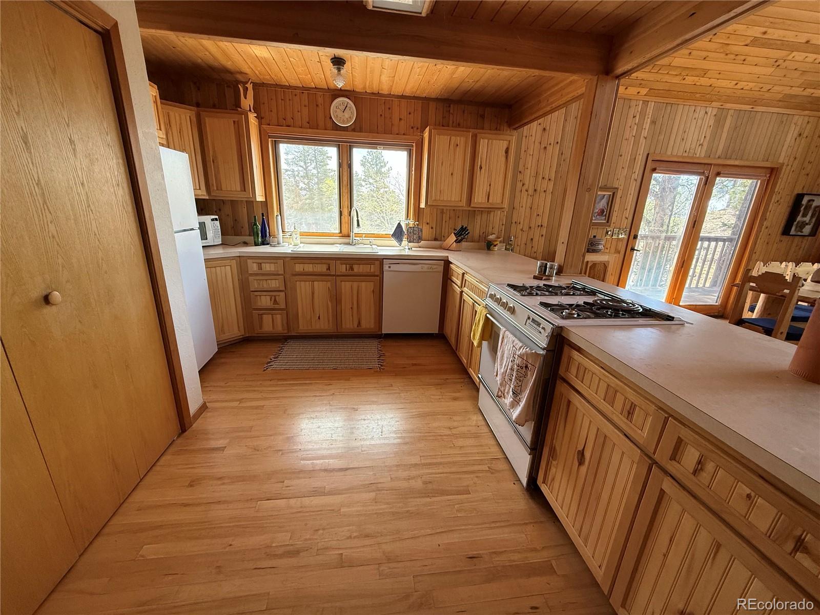 153 Tahmoush Lane Fort Garland CO 81133