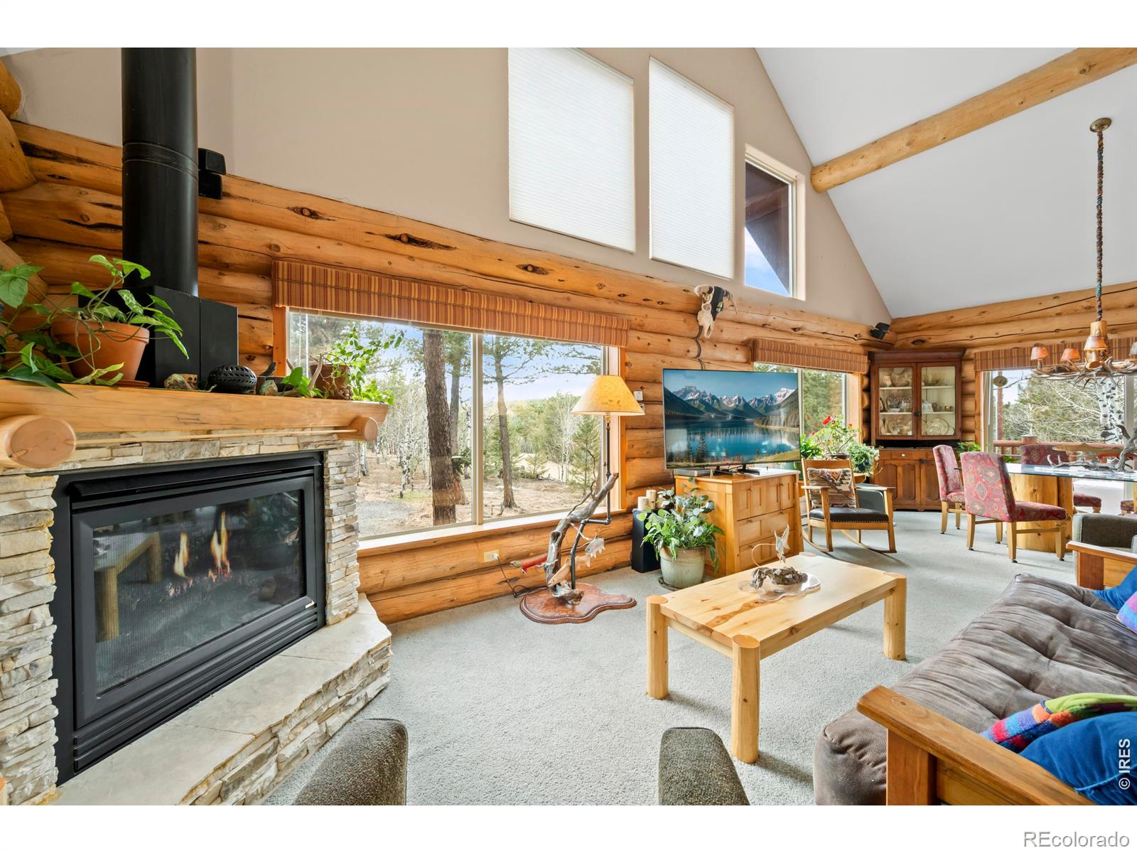 365 Overland Drive Ward CO 80481