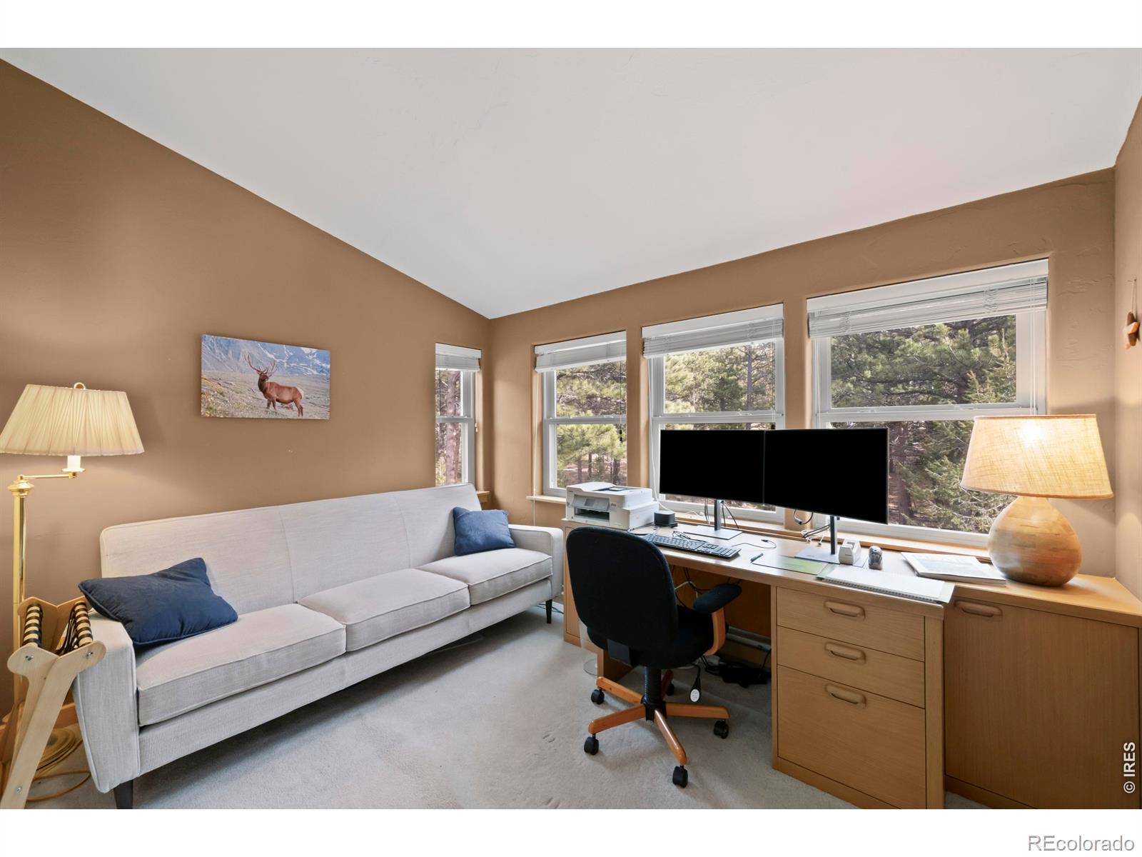 365 Overland Drive Ward CO 80481