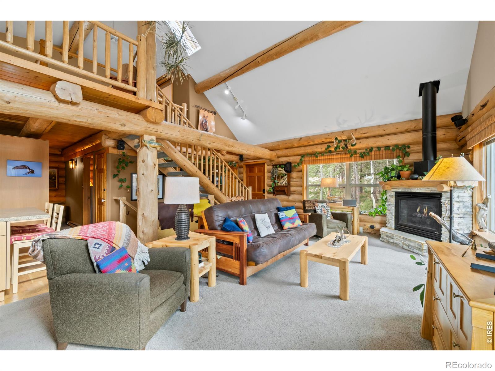 365 Overland Drive Ward CO 80481