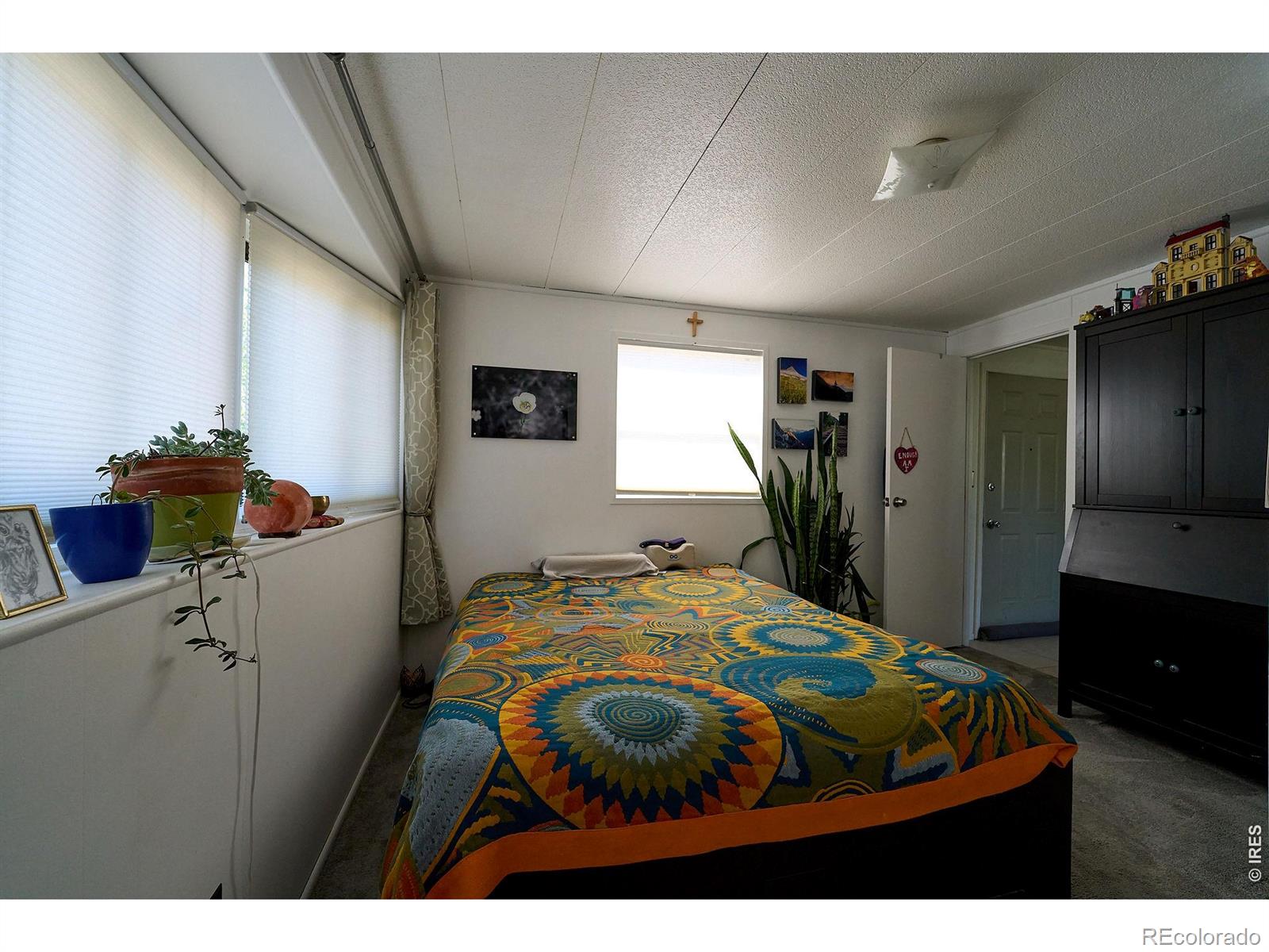 2828 Mango Place Loveland CO 80537