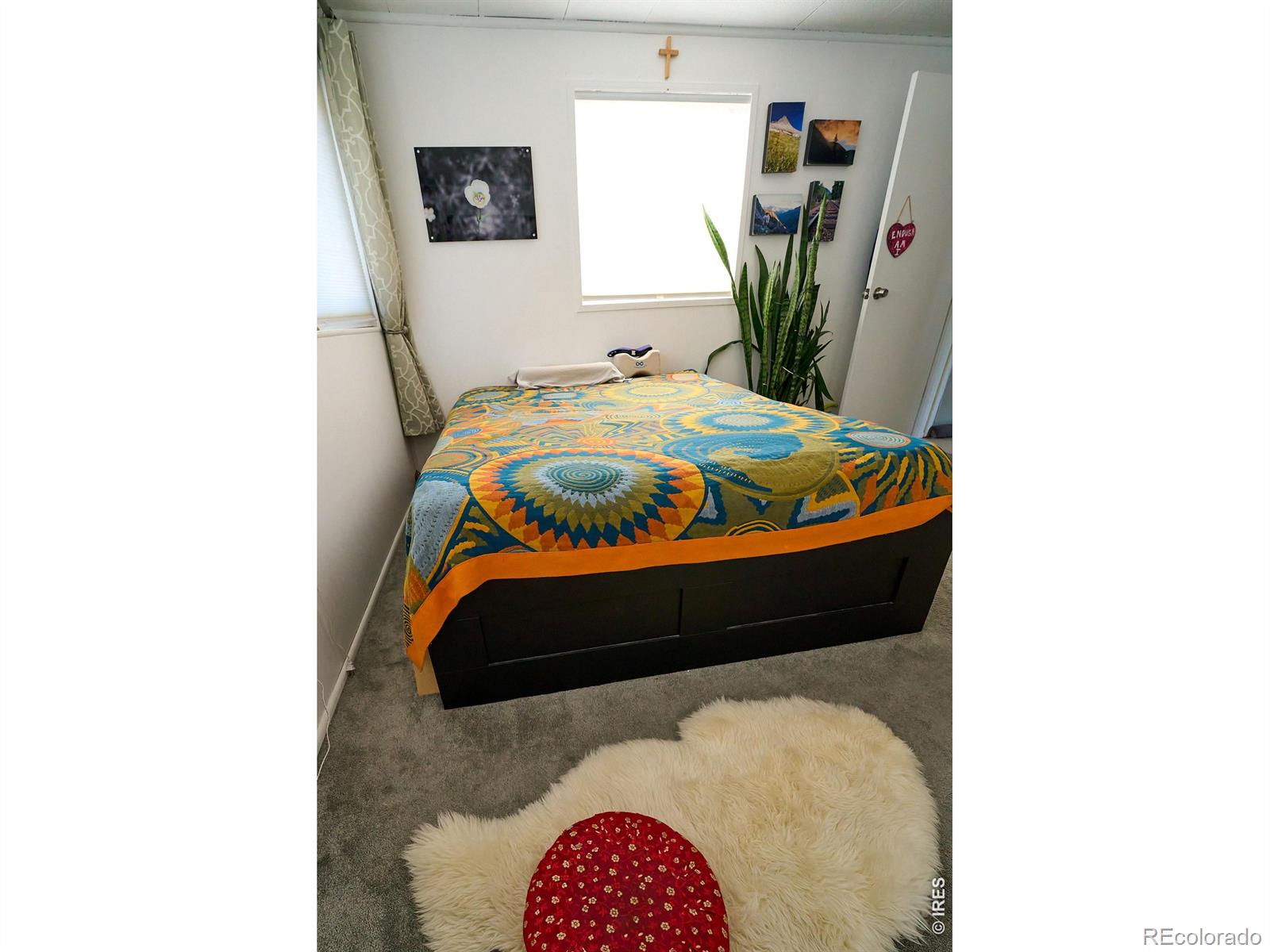2828 Mango Place Loveland CO 80537
