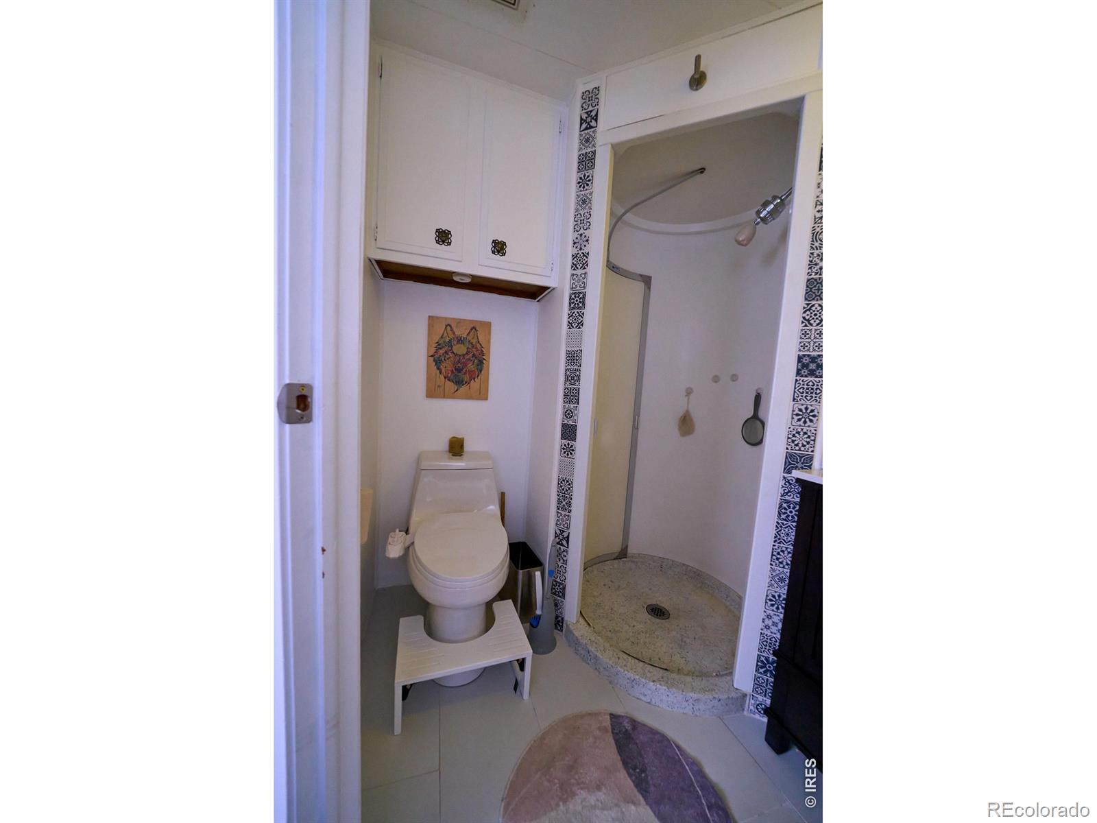 2828 Mango Place Loveland CO 80537