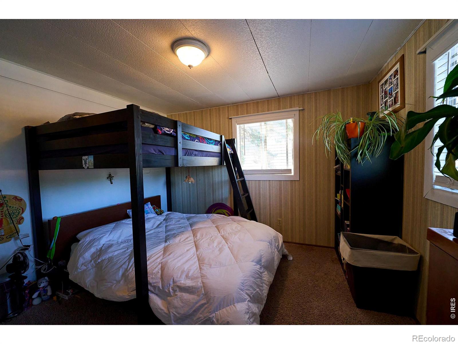 2828 Mango Place Loveland CO 80537