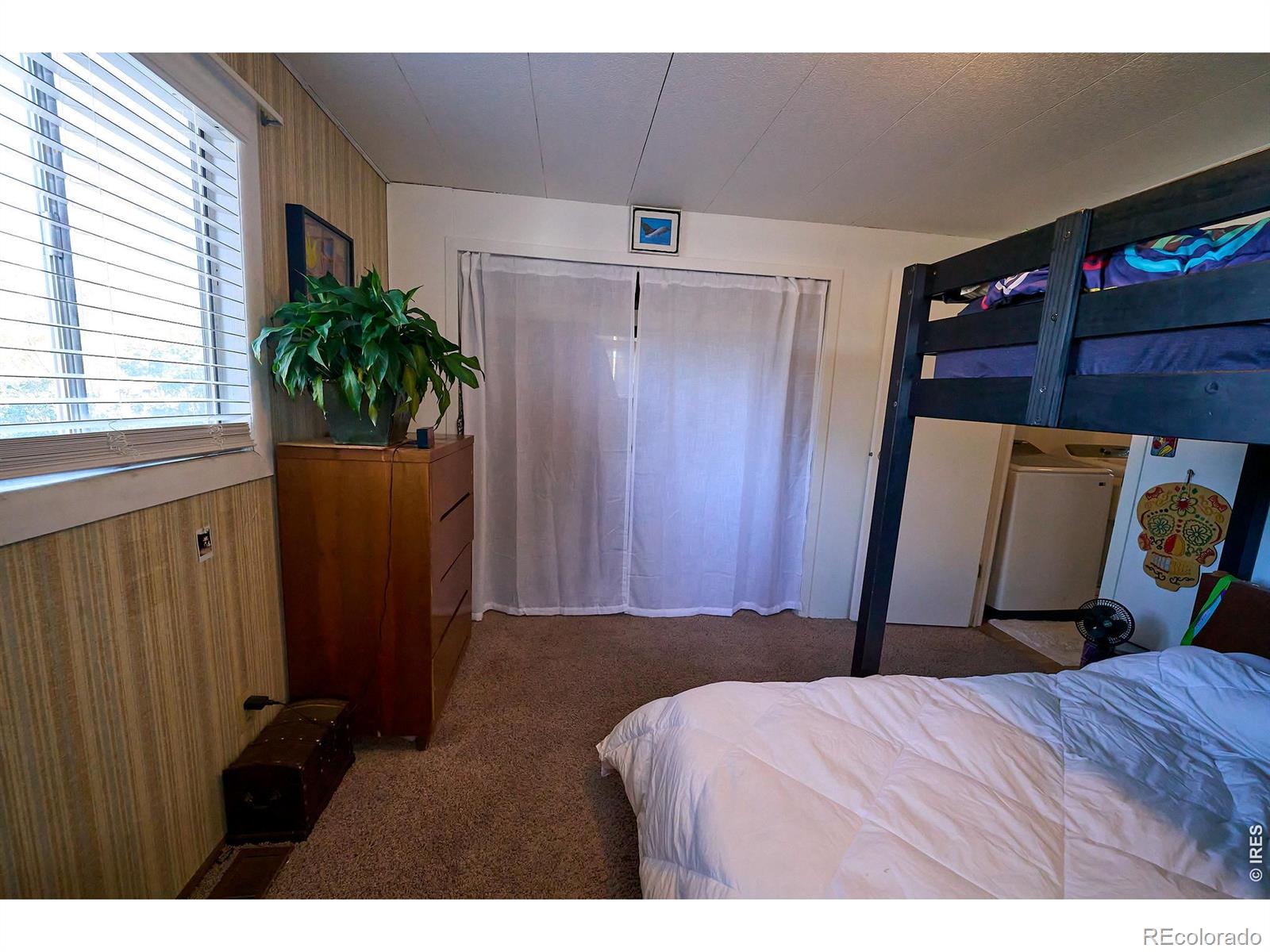 2828 Mango Place Loveland CO 80537