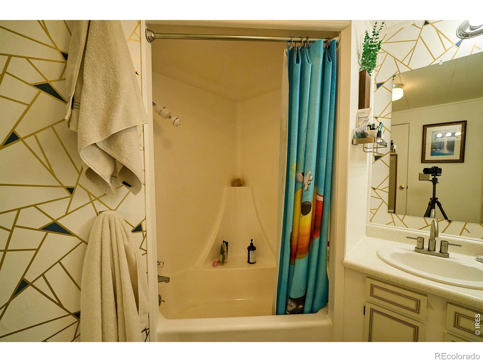 2828 Mango Place Loveland CO 80537