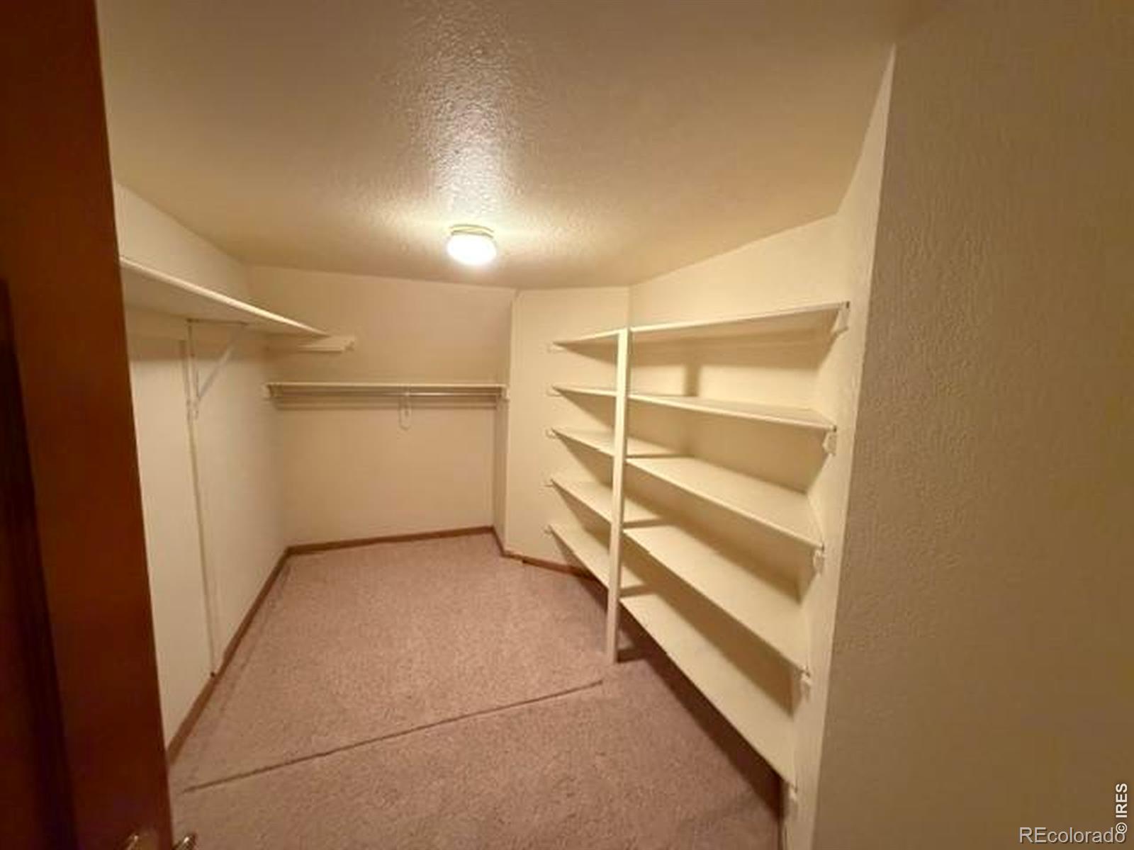 4212 Wellington Drive Fort Collins CO 80526