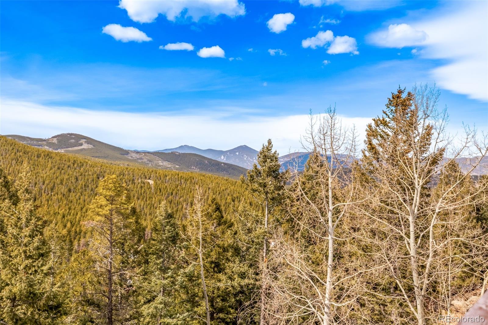 9055 Jill Drive Conifer CO 80433