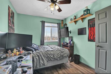 5284 Willow Court Castle Rock CO 80104
