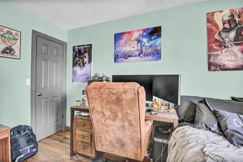 5284 Willow Court Castle Rock CO 80104