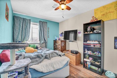 5284 Willow Court Castle Rock CO 80104