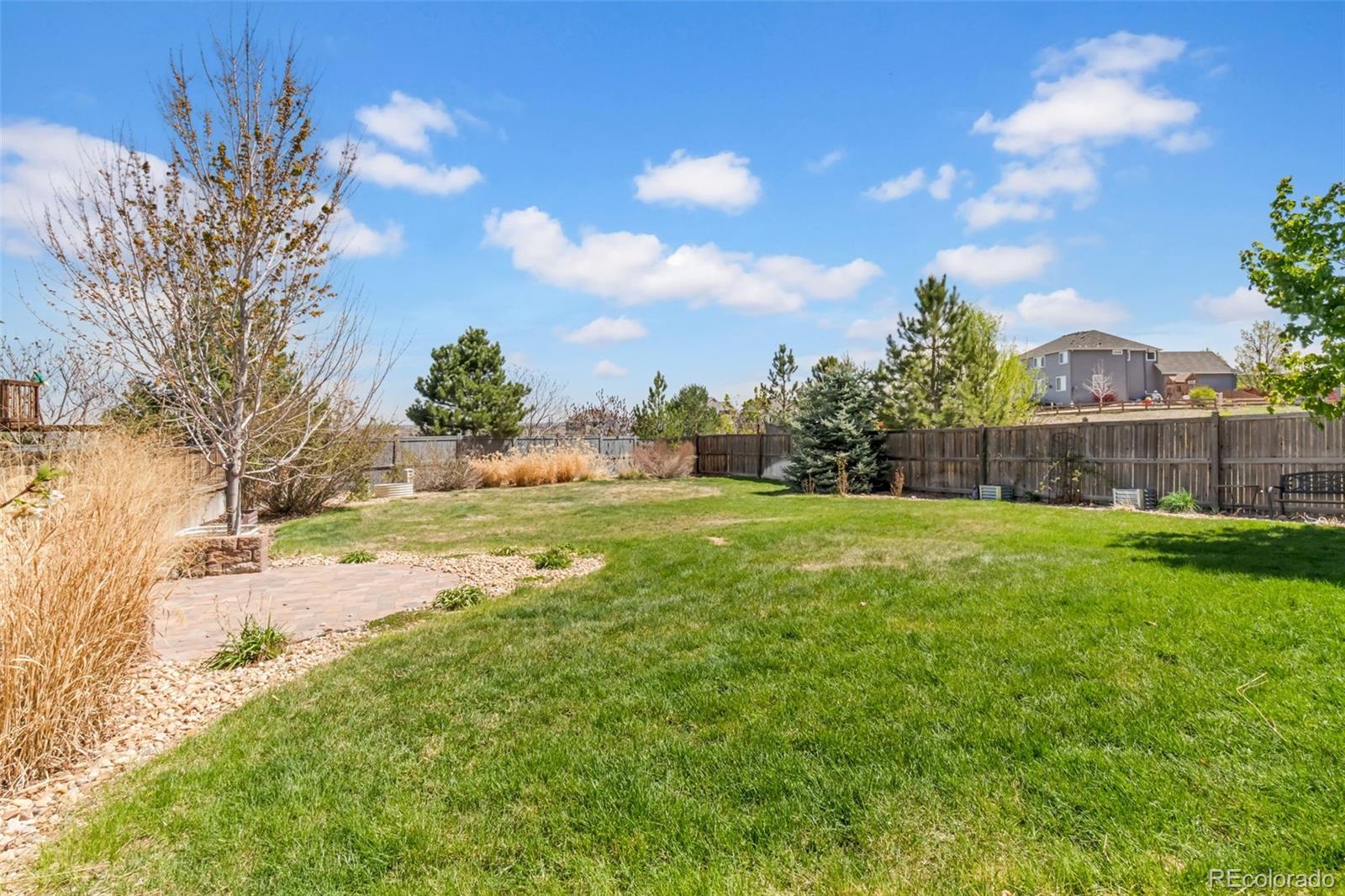 2568 Wild Oak Drive Castle Rock CO 80108