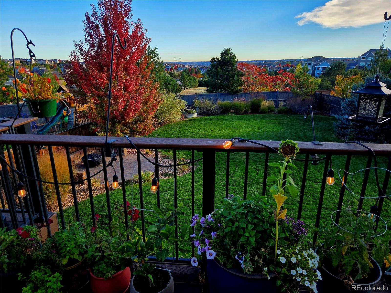 2568 Wild Oak Drive Castle Rock CO 80108