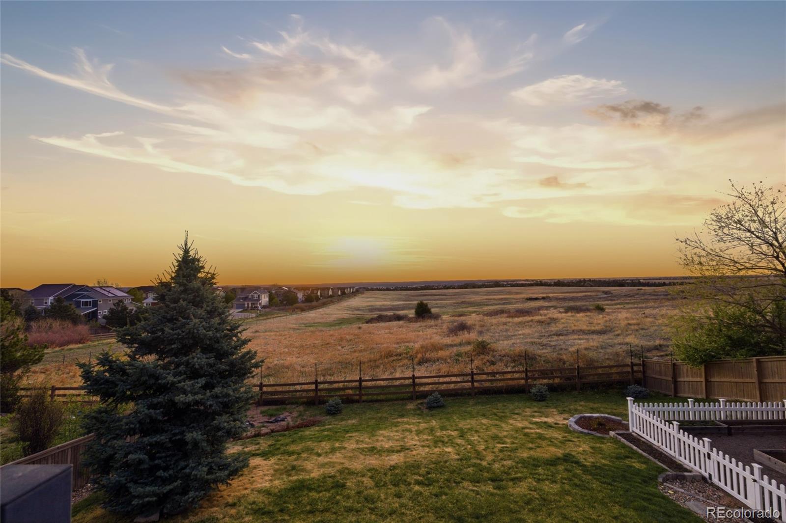 908 Crenshaw Street Castle Rock CO 80104