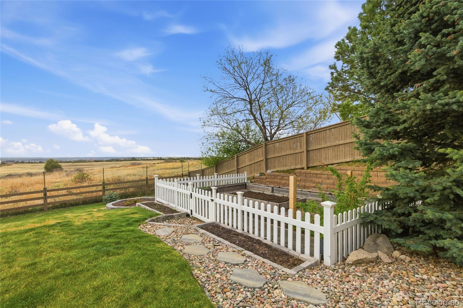 908 Crenshaw Street Castle Rock CO 80104