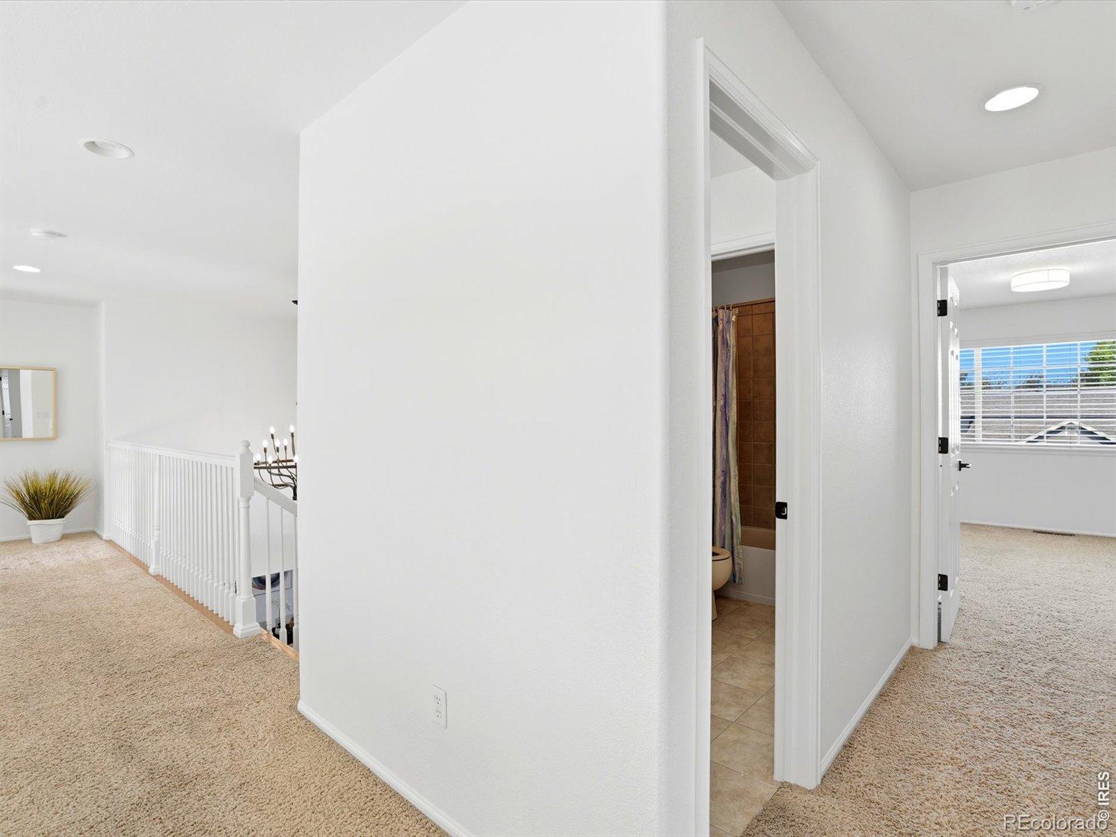 1633 Hallet Peak Drive Longmont CO 80503