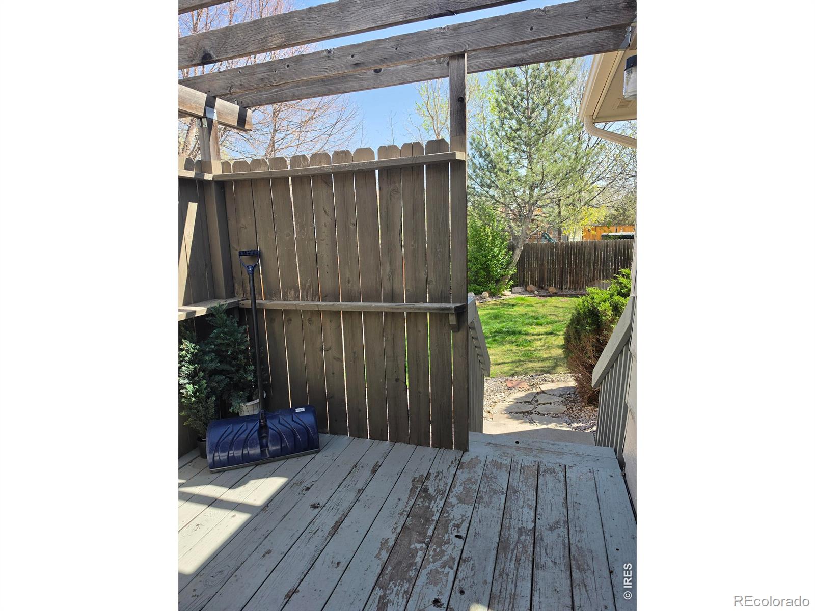 1479 Cattail Drive Loveland CO 80537