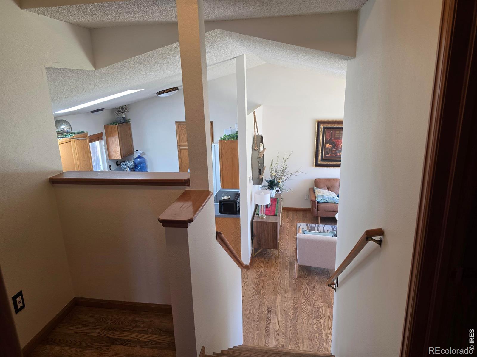 1479 Cattail Drive Loveland CO 80537